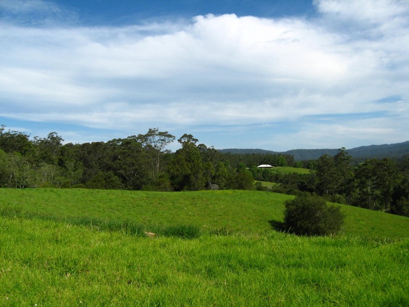 Lot 2 Bowraville Road, Bellingen NSW 2454