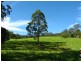 Lot 2 Bowraville Road, Bellingen NSW 2454