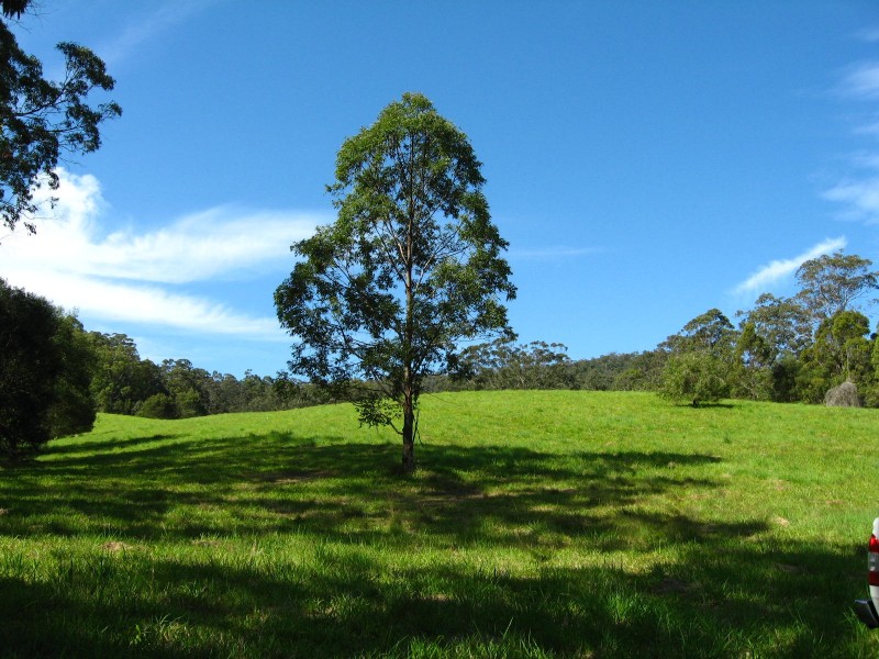 Lot 2 Bowraville Road, Bellingen NSW 2454