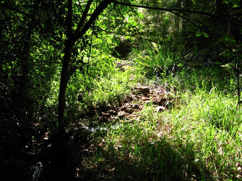 Lot 2 Bowraville Road, Bellingen NSW 2454