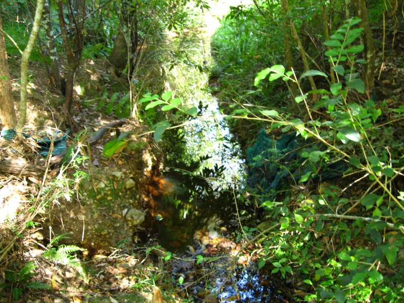 Lot 2 Bowraville Road, Bellingen NSW 2454