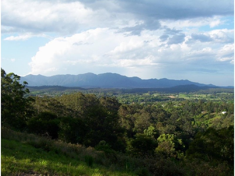 Lot 11 Bowraville Road, Bellingen NSW 2454