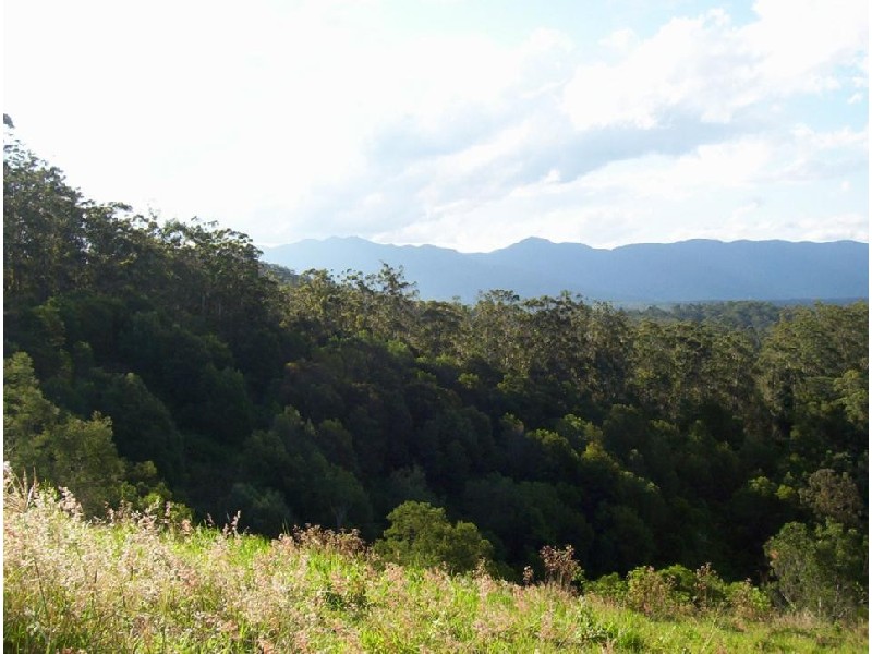 Lot 11 Bowraville Road, Bellingen NSW 2454