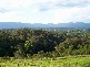 Lot 11 Bowraville Road, Bellingen NSW 2454