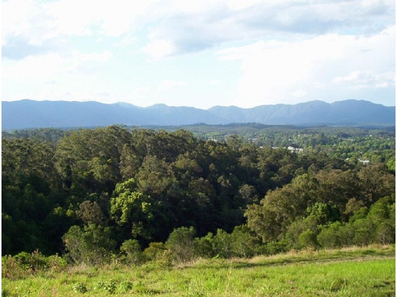 Lot 11 Bowraville Road, Bellingen NSW 2454