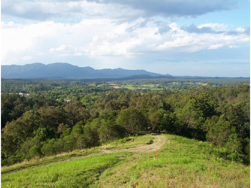 Lot 11 Bowraville Road, Bellingen NSW 2454