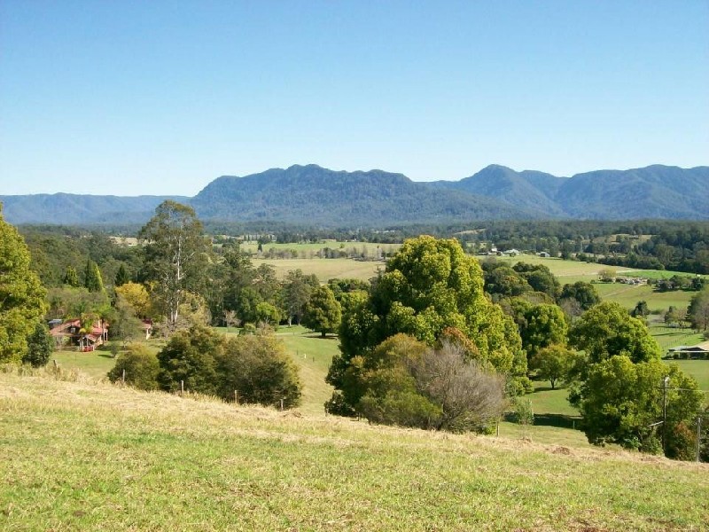1333 Waterfall Way, Bellingen NSW 2454