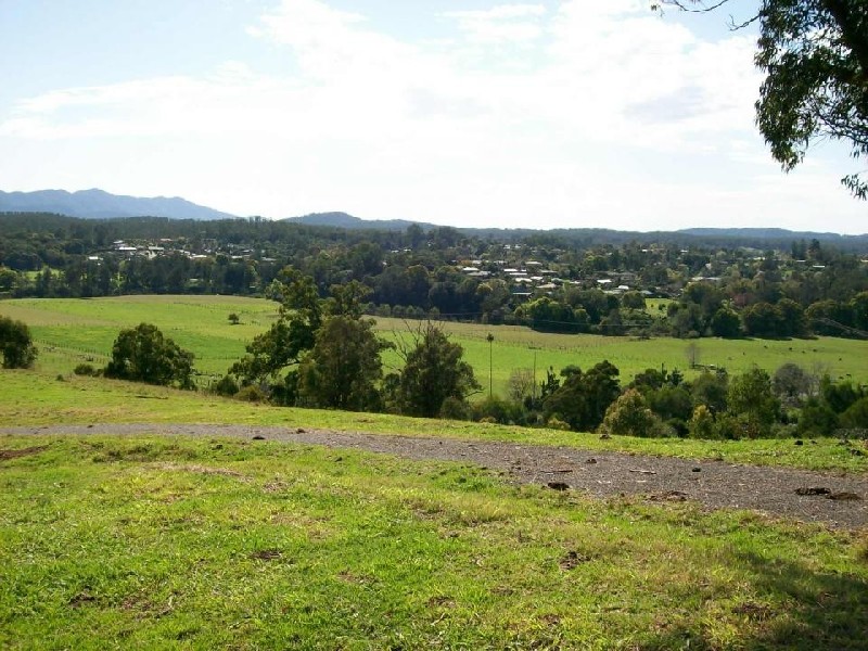 1333 Waterfall Way, Bellingen NSW 2454