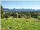 1333 Waterfall Way, Bellingen NSW 2454
