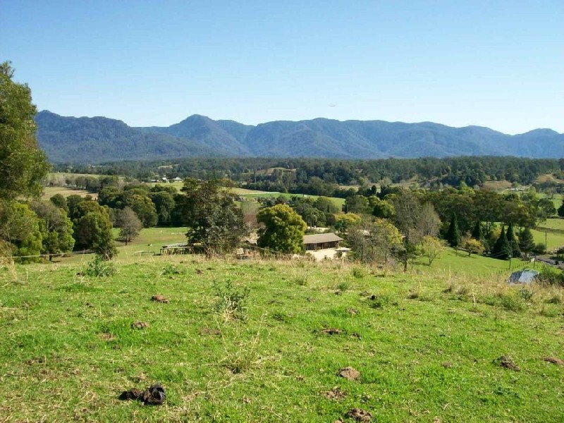 1333 Waterfall Way, Bellingen NSW 2454