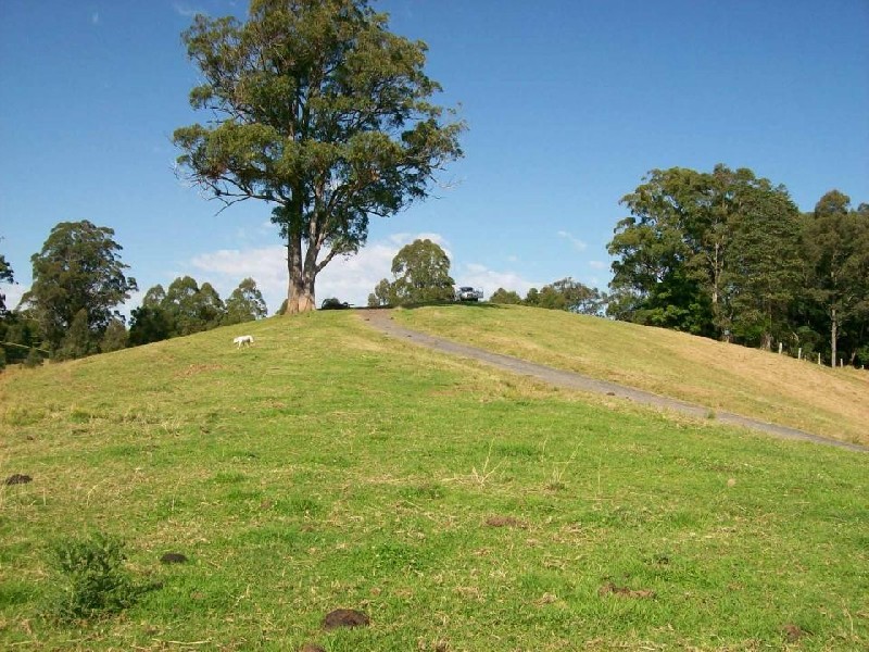 1333 Waterfall Way, Bellingen NSW 2454