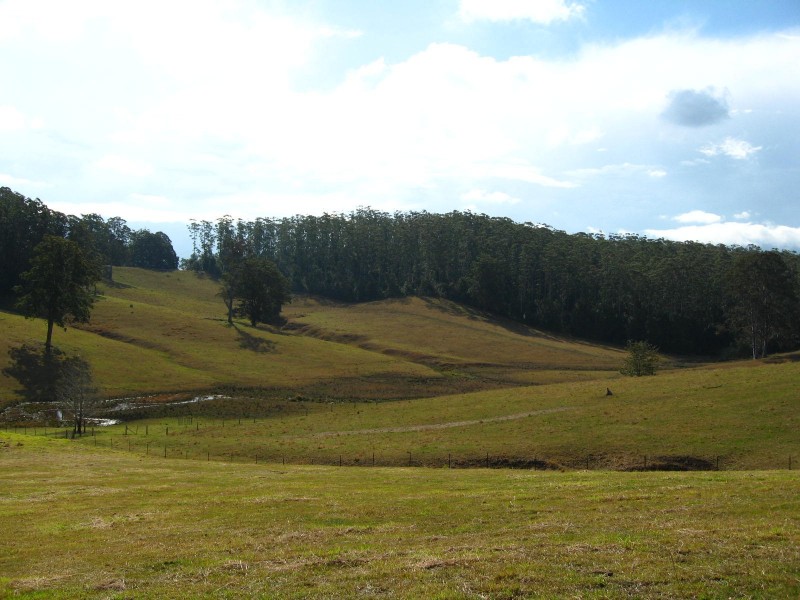 59 Reids Road, Bellingen NSW 2454