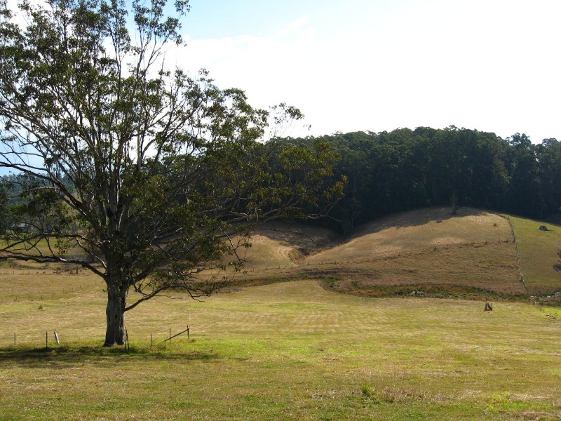 59 Reids Road, Bellingen NSW 2454