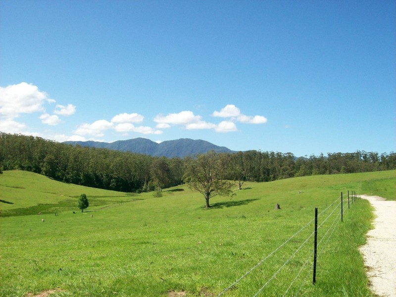 59 Reids Road, Bellingen NSW 2454