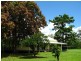 445 Summervilles Road, Bellingen NSW 2454