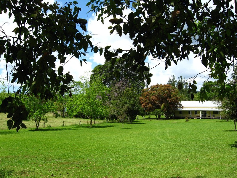 445 Summervilles Road, Bellingen NSW 2454