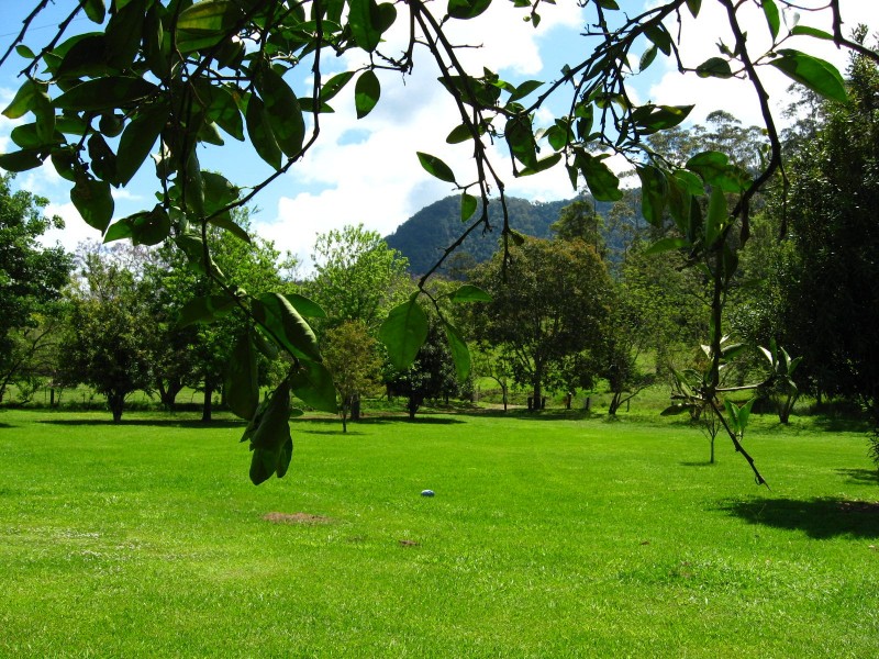 445 Summervilles Road, Bellingen NSW 2454