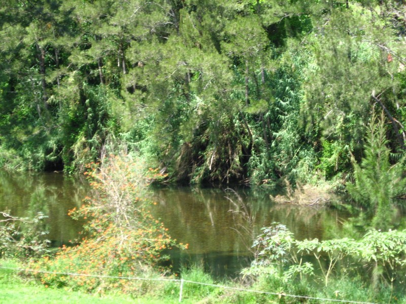 445 Summervilles Road, Bellingen NSW 2454