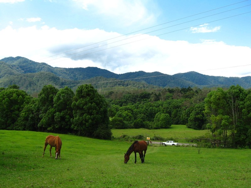 989 Valery Road, Bellingen NSW 2454