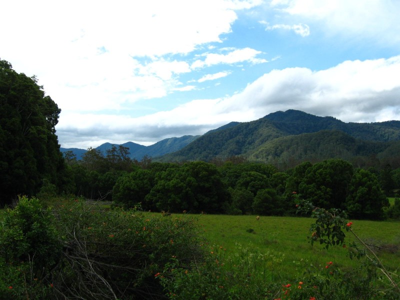 989 Valery Road, Bellingen NSW 2454