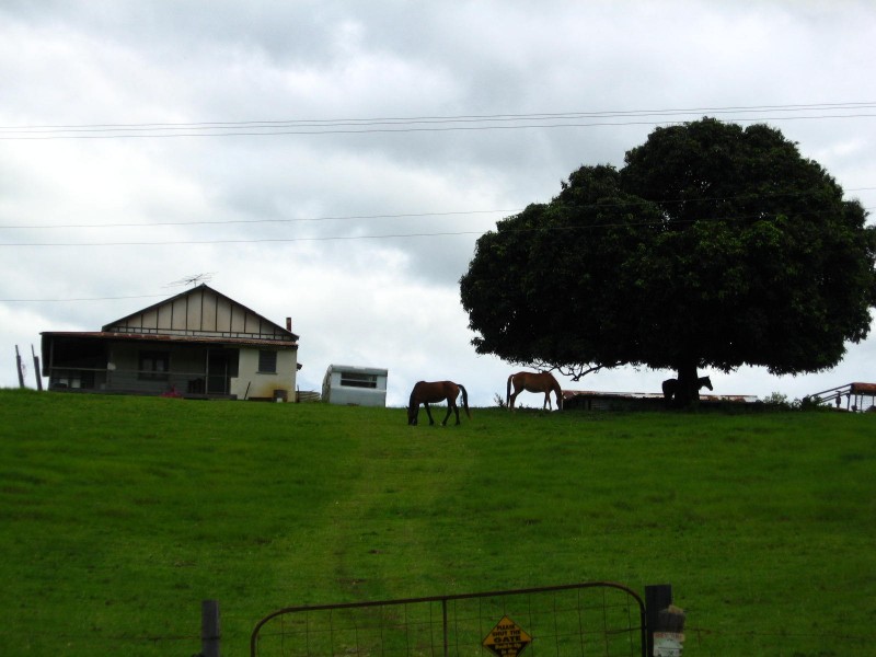 989 Valery Road, Bellingen NSW 2454