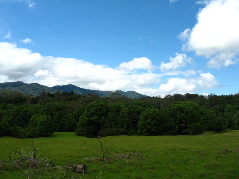 989 Valery Road, Bellingen NSW 2454