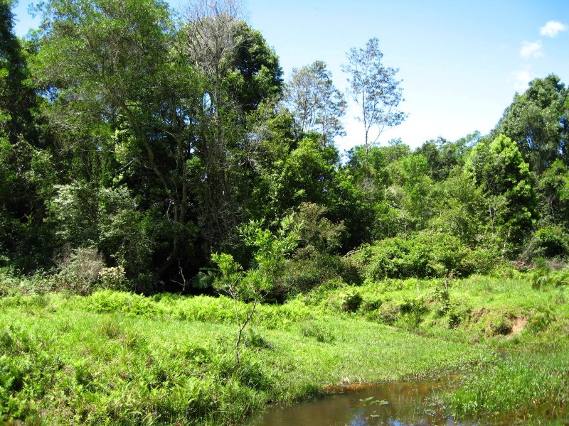 989 Valery Road, Bellingen NSW 2454