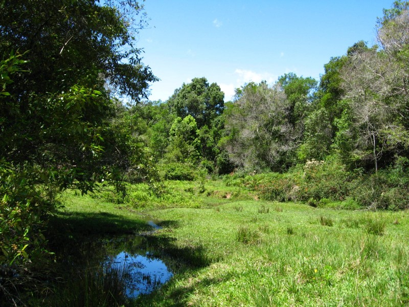 989 Valery Road, Bellingen NSW 2454