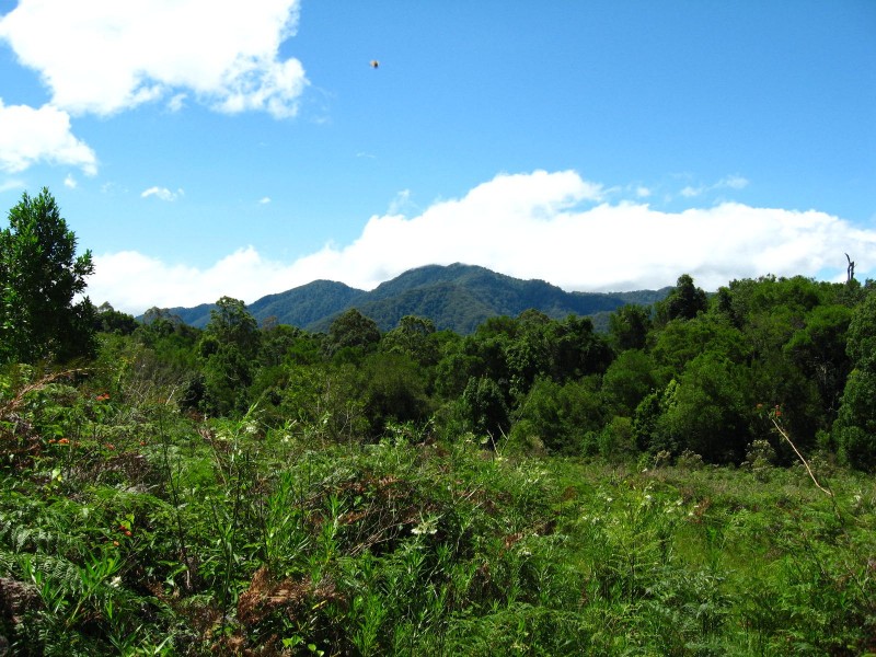 989 Valery Road, Bellingen NSW 2454