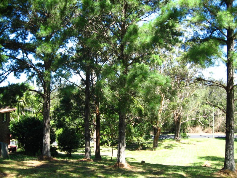 Lot/4 Hillside Drive, Urunga NSW 2455