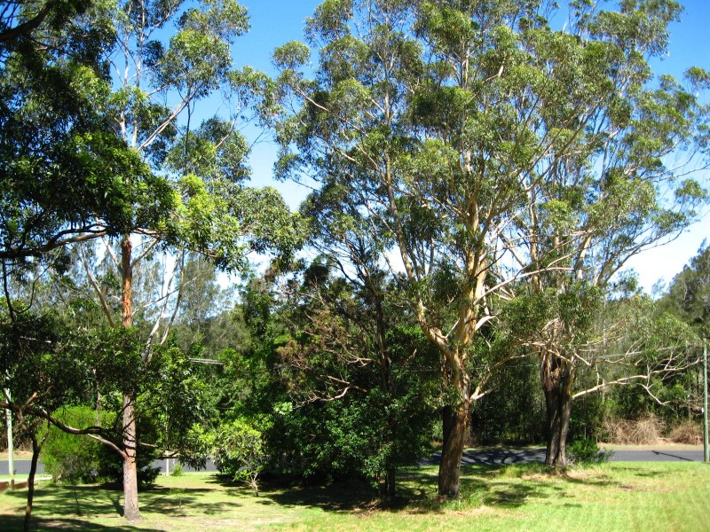 Lot/4 Hillside Drive, Urunga NSW 2455