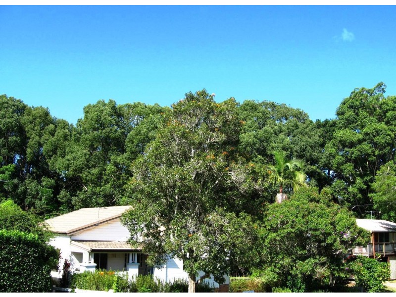 6 Mary Street, Bellingen NSW 2454