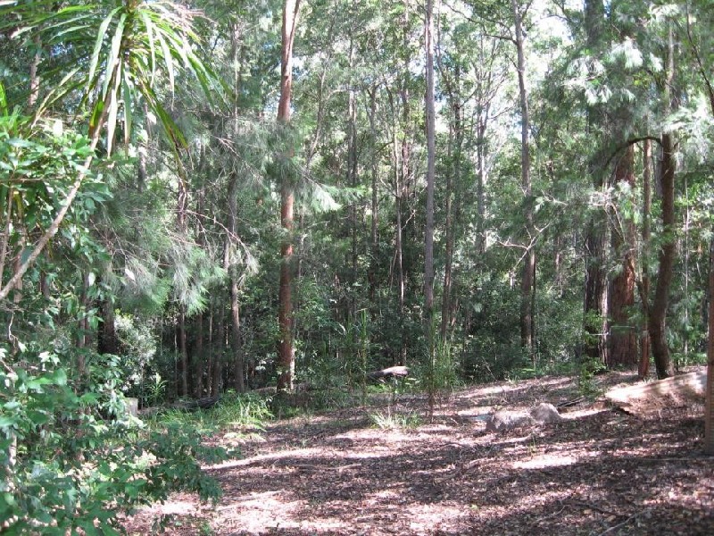 135 Hydes Creek Road, Bellingen NSW 2454