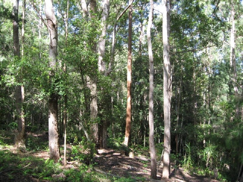 135 Hydes Creek Road, Bellingen NSW 2454