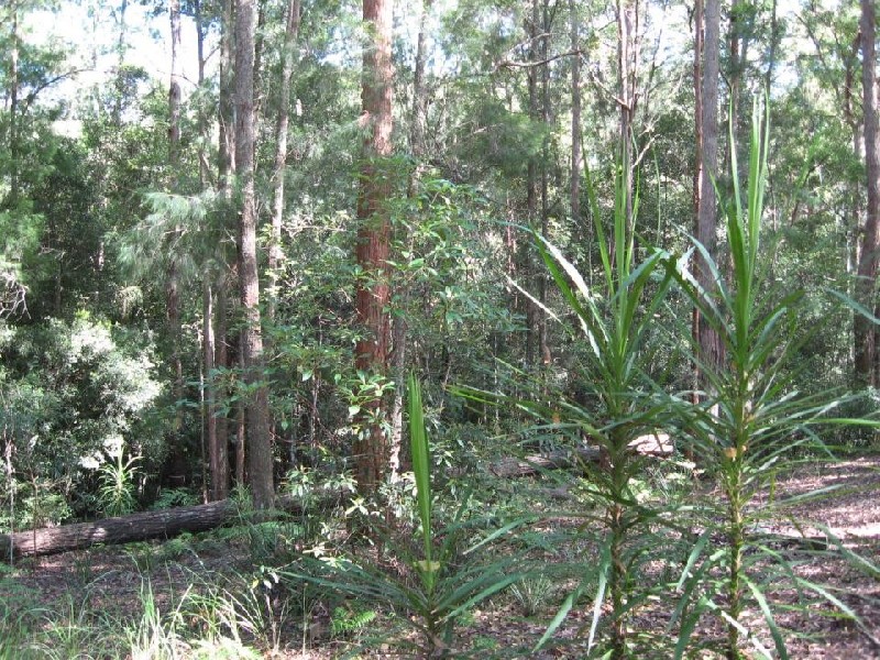 135 Hydes Creek Road, Bellingen NSW 2454