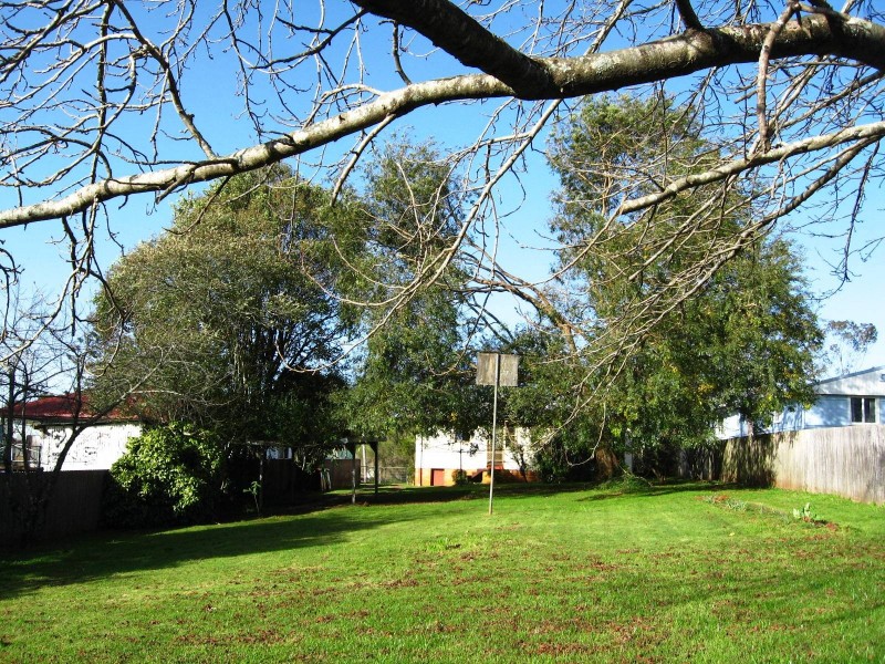 25 Kurrajong Street, Dorrigo NSW 2453