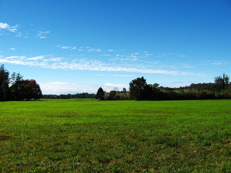 421 Summervilles Road, Bellingen NSW 2454