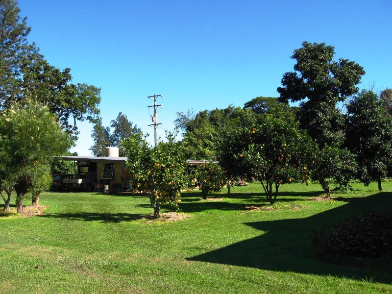 421 Summervilles Road, Bellingen NSW 2454