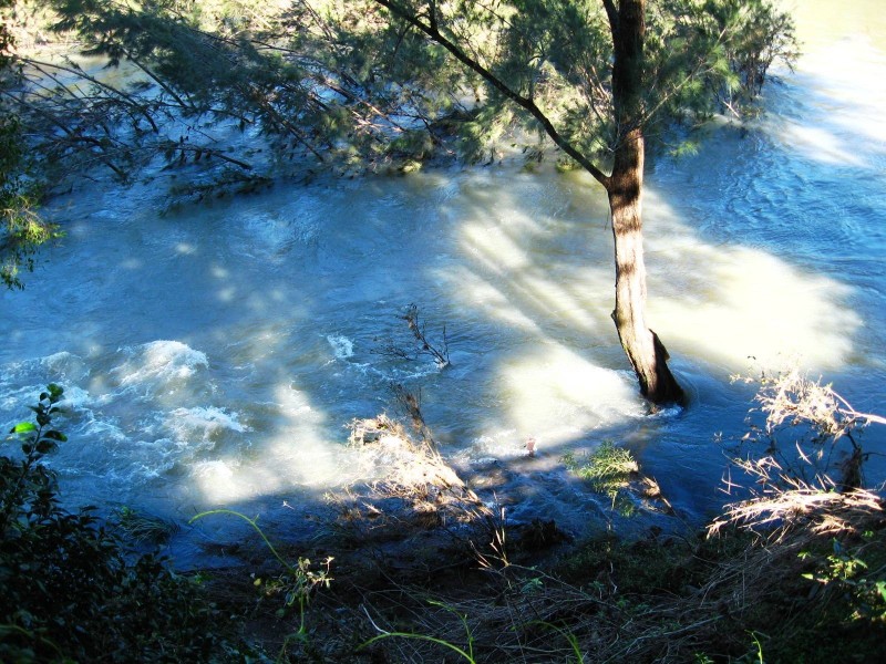 421 Summervilles Road, Bellingen NSW 2454