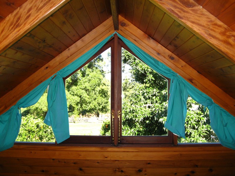 421 Summervilles Road, Bellingen NSW 2454