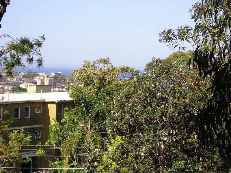 9B Carr Street, Coogee NSW 2034