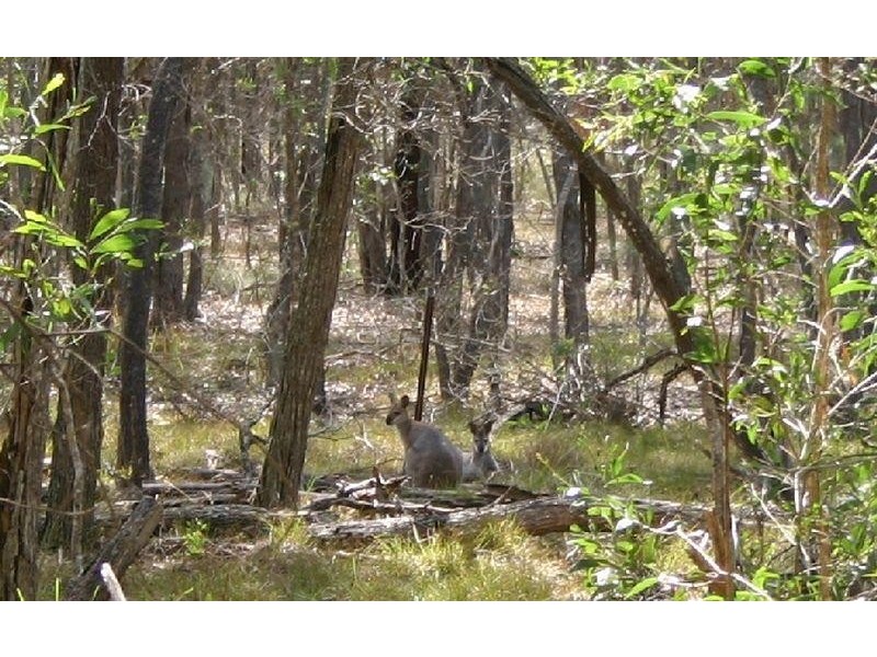 6 Mount View Road, Mount Cotton QLD 4165