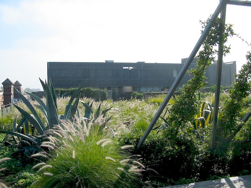 320 Harris Street, Pyrmont NSW 2009