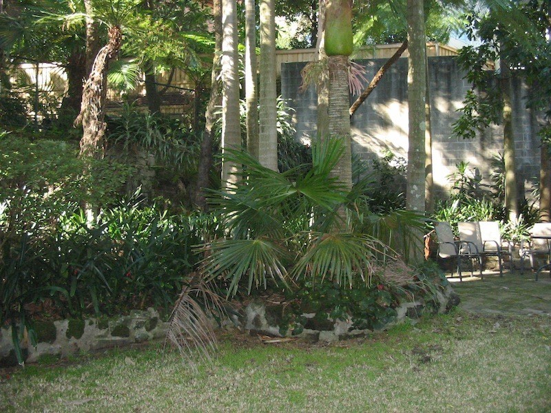 25-27 Mona Road, Darling Point NSW 2027