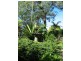8-10 East Crescent Street, Mcmahons Point NSW 2060