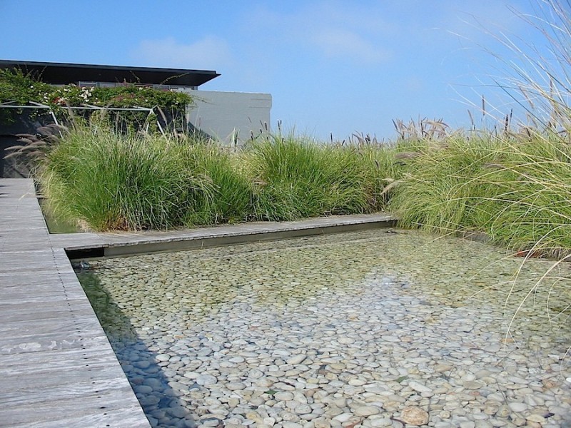 320 Harris Street, Pyrmont NSW 2009