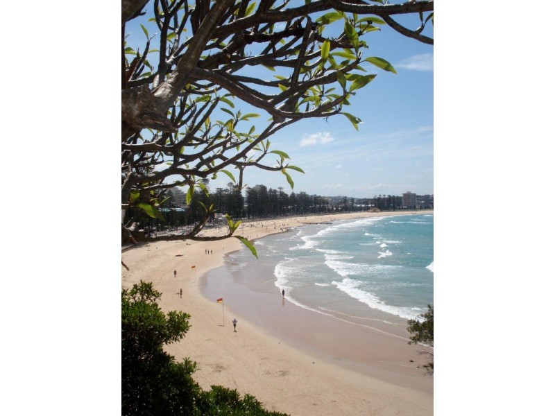 129 Bower Street, Manly NSW 2095