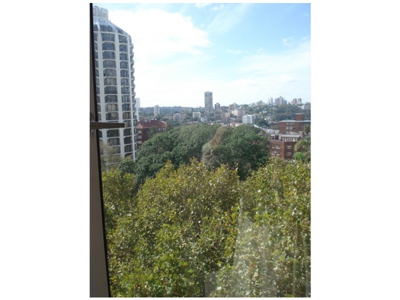 117 Macleay Street, Potts Point NSW 2011