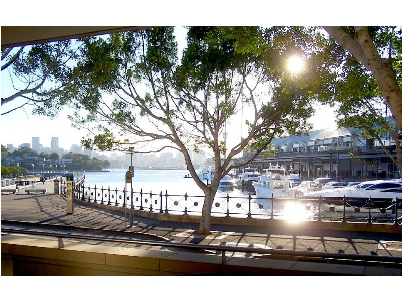 15-19 Pirrama Road, Pyrmont NSW 2009