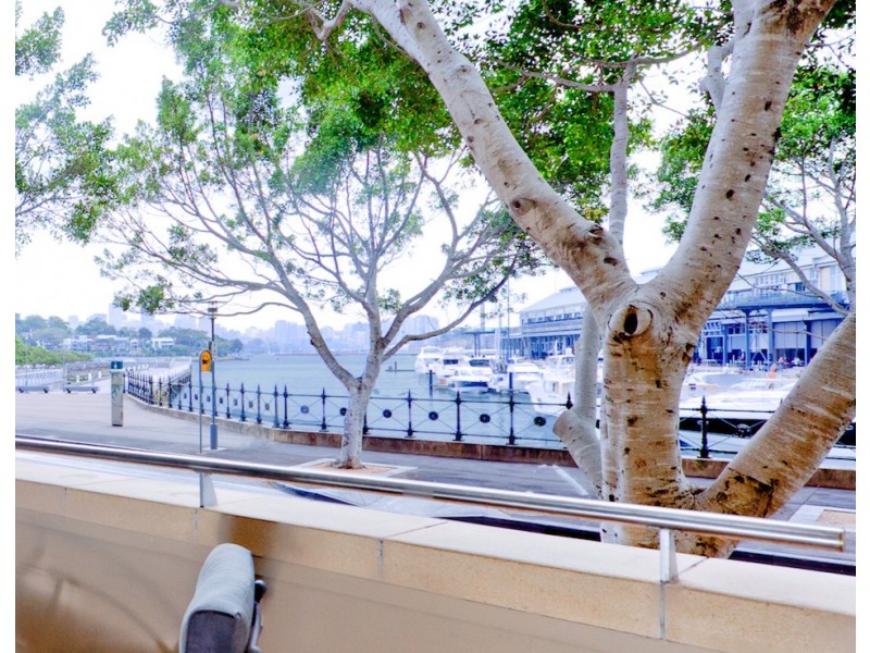 15-19 Pirrama Road, Pyrmont NSW 2009